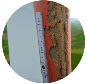 Periodic inspection of rotor blades